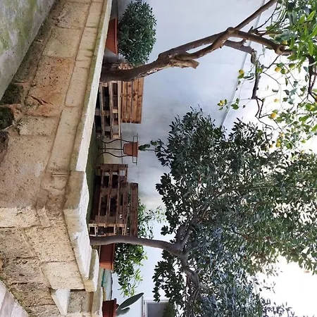 Tatil Evi Lele's House