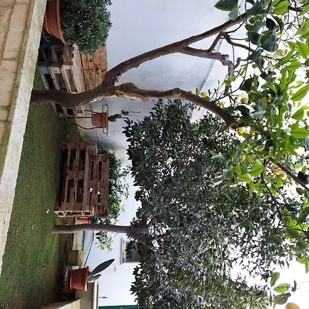 Lele's House Tatil Evi